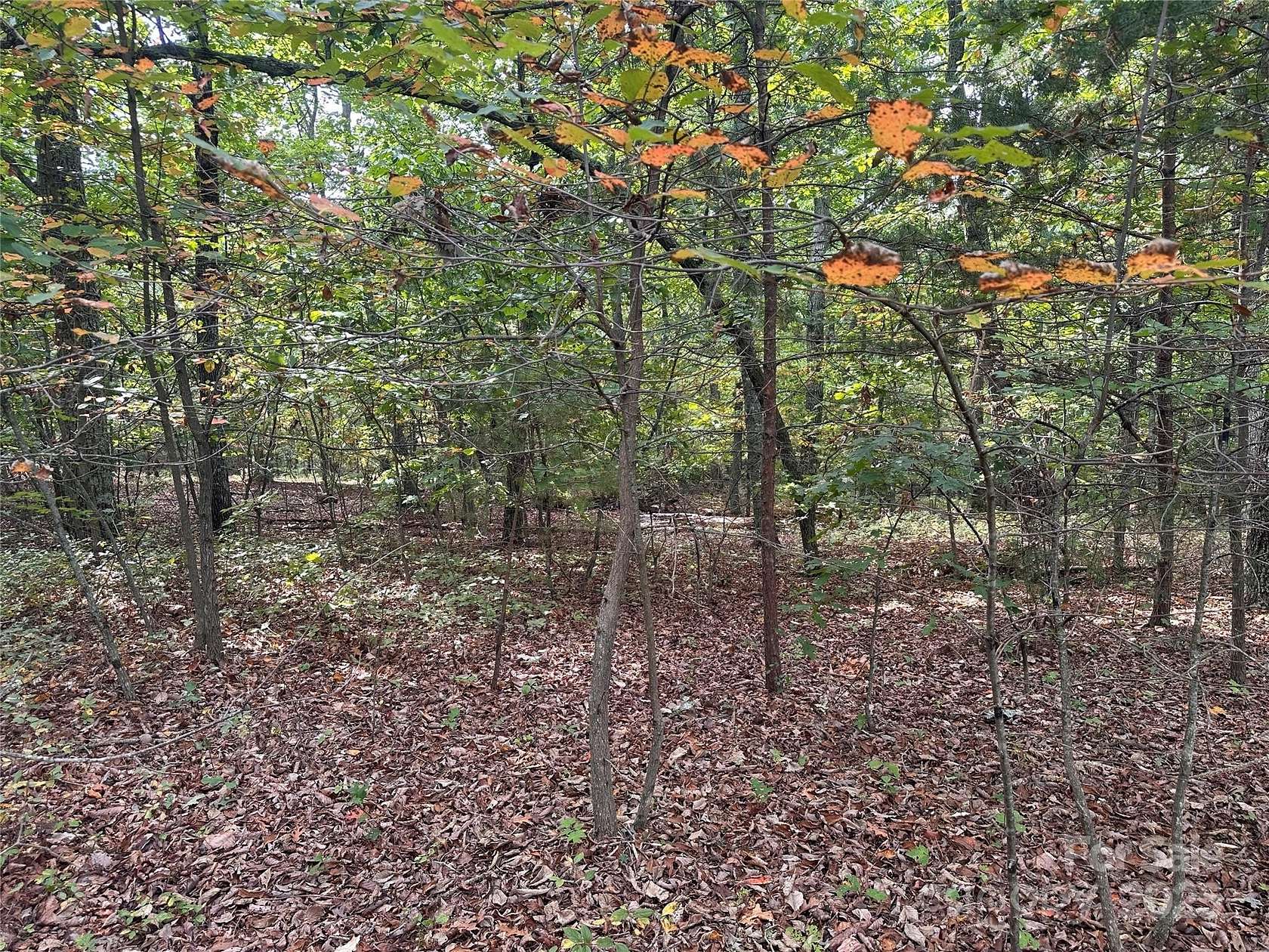 1.85 Acres of Residential Land for Sale in Nebo, North Carolina