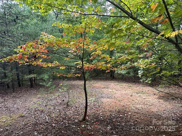 1.85 Acres of Residential Land for Sale in Nebo, North Carolina