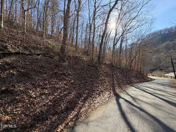 6 Acres of Land for Sale in Rutledge, Tennessee