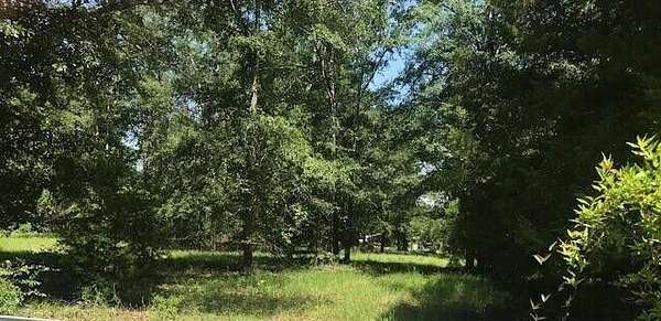 1.3 Acres of Residential Land for Sale in Barnwell, South Carolina