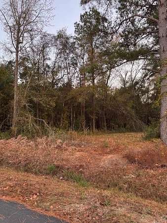 24.2 Acres of Land for Sale in Lynchburg, South Carolina