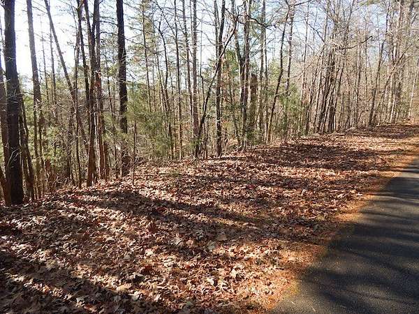 0.66 Acres of Land for Sale in Salem, South Carolina