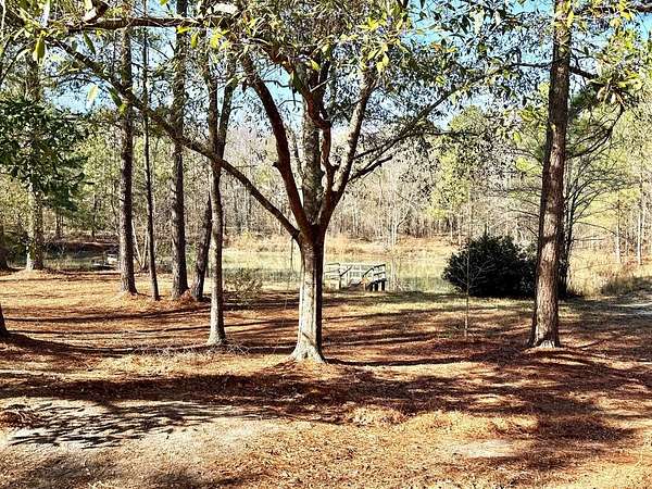 36.8 Acres of Recreational Land for Sale in Wrightsville, Georgia