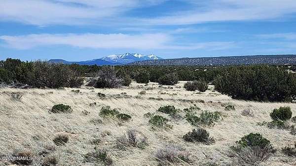12 Acres of Land for Sale in Williams, Arizona