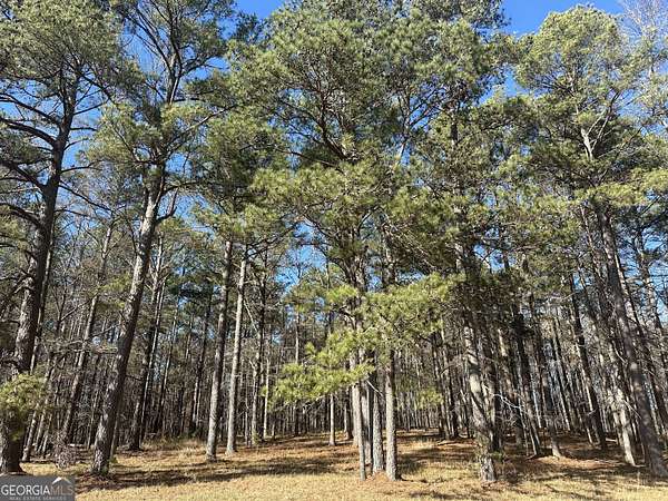 11.8 Acres of Land for Sale in Fayetteville, Georgia