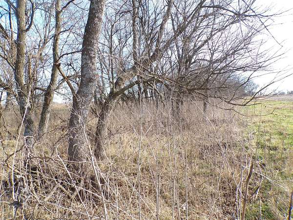 158 Acres of Agricultural Land for Sale in Yates Center, Kansas