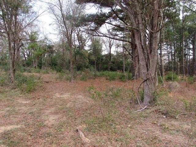 7.9 Acres of Land for Sale in Palestine, Texas