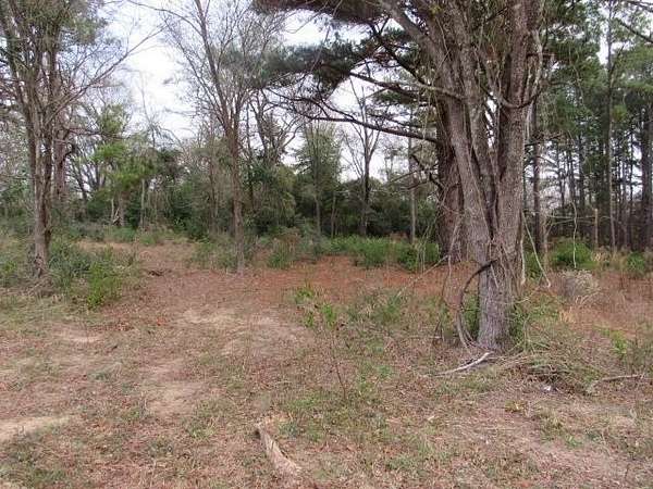 7.9 Acres of Land for Sale in Palestine, Texas