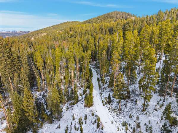 20 Acres of Recreational Land for Sale in Philipsburg, Montana
