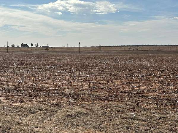 160 Acres of Land for Sale in Colorado City, Texas