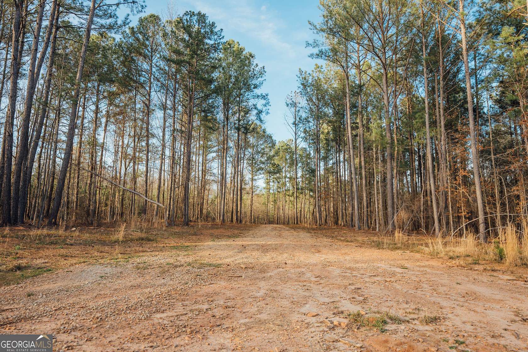 28.6 Acres of Recreational Land for Sale in Madison, Georgia