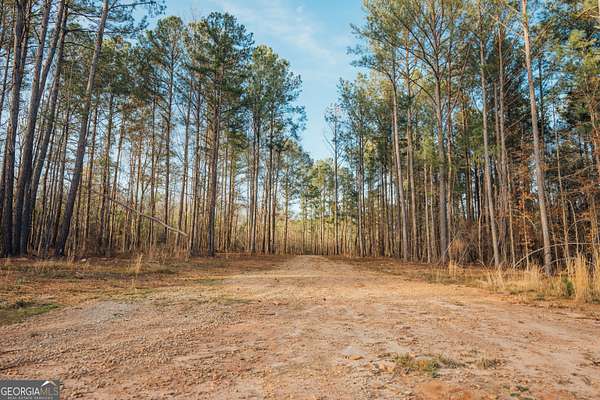 28.6 Acres of Recreational Land for Sale in Madison, Georgia