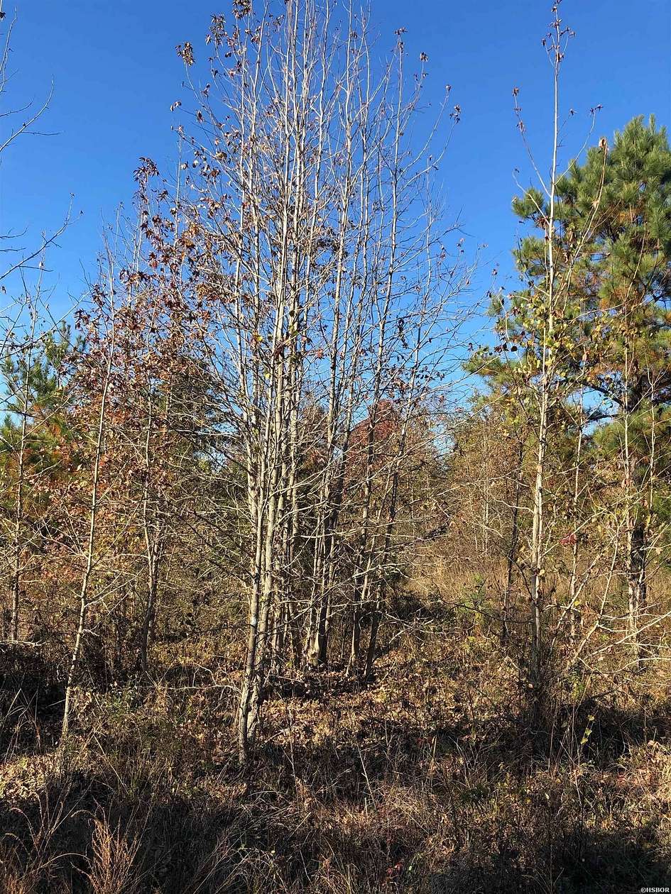 60 Acres of Land for Sale in Murfreesboro, Arkansas