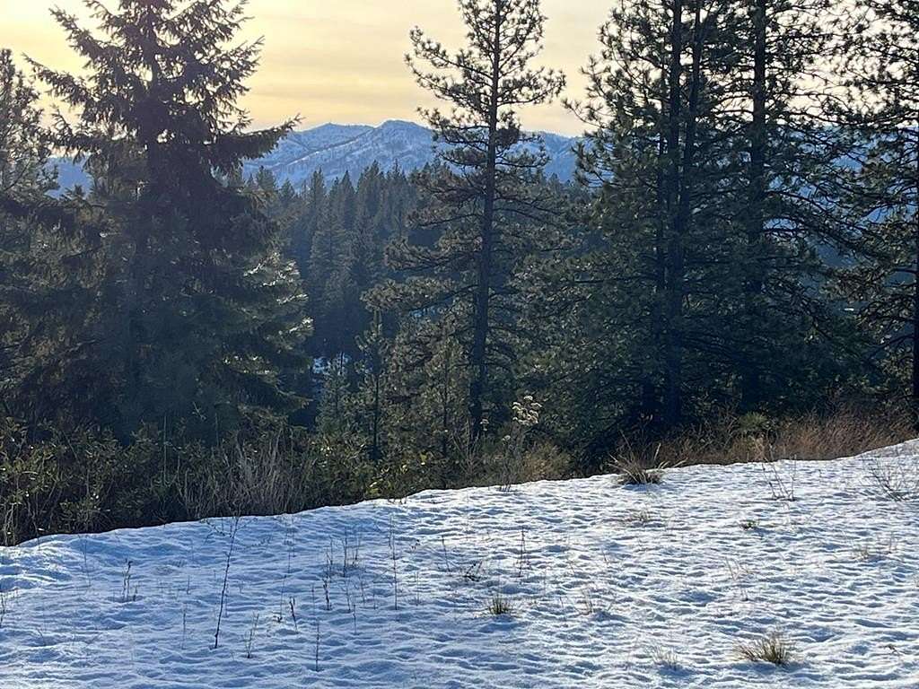 5 Acres of Land for Sale in Cascade, Idaho