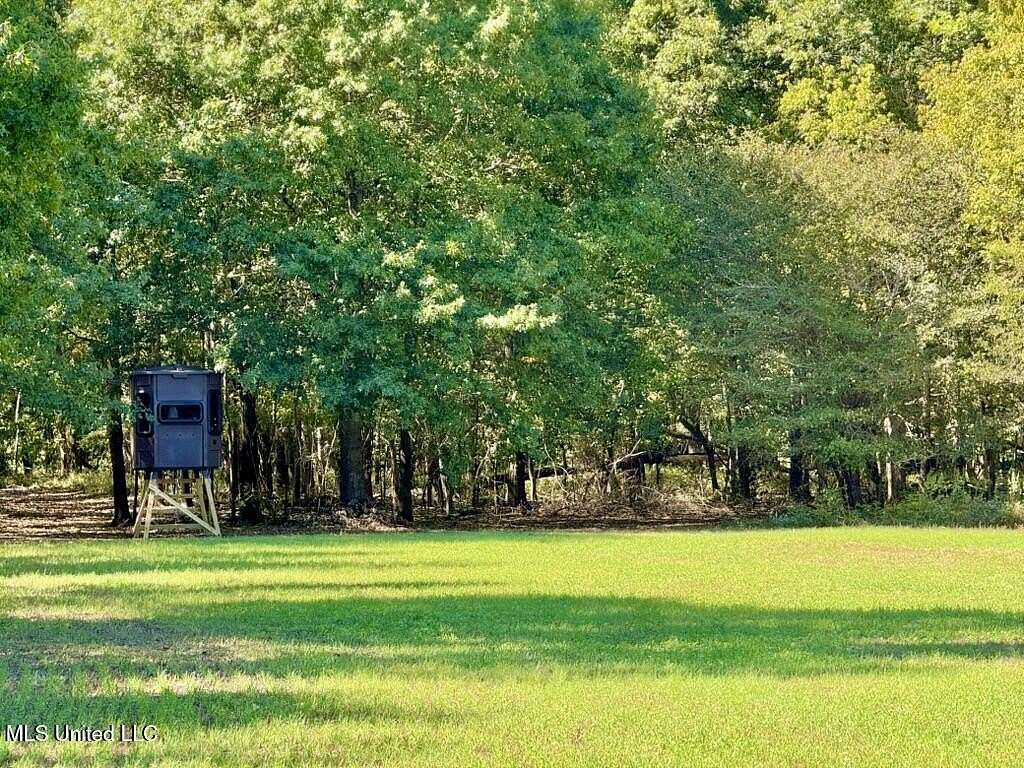 80 Acres of Recreational Land for Sale in Rolling Fork, Mississippi