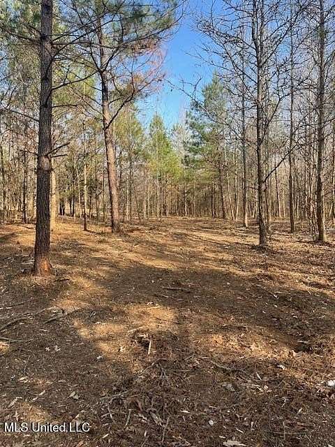 5 Acres of Residential Land for Sale in Senatobia, Mississippi