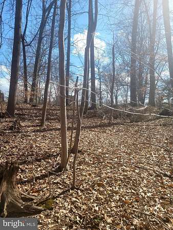 3.39 Acres of Residential Land for Sale in Indian Head, Maryland