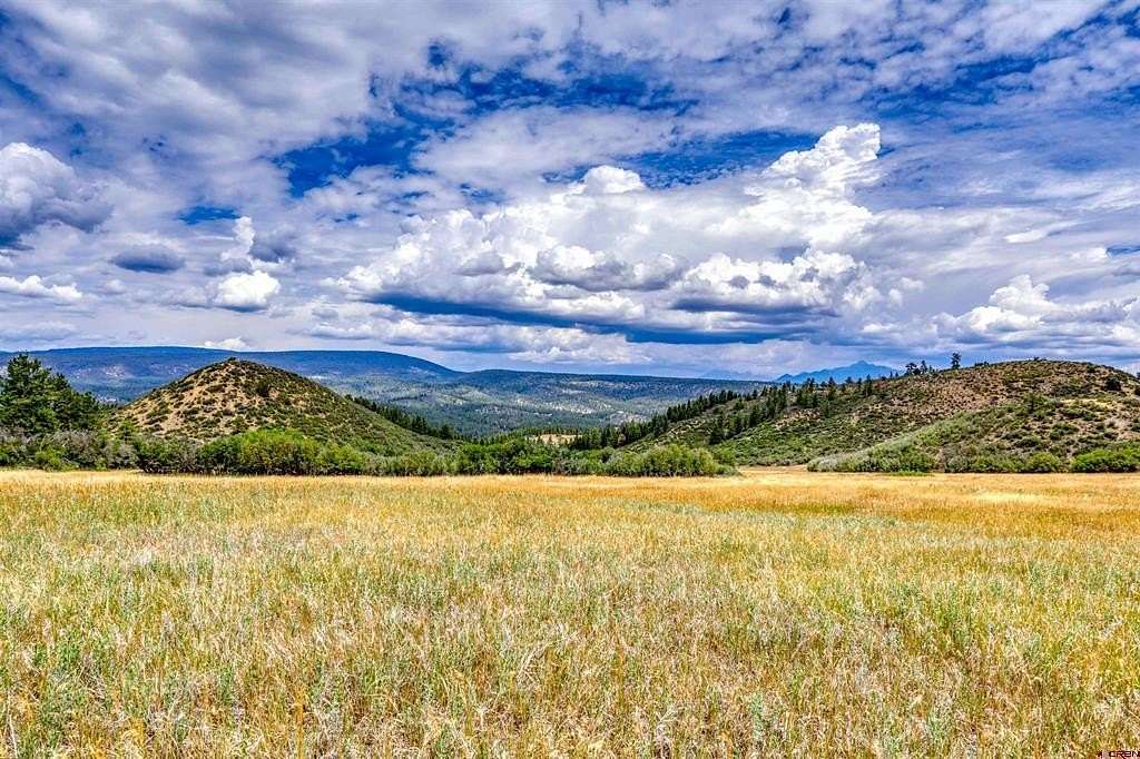120 Acres of Land for Sale in Pagosa Springs, Colorado