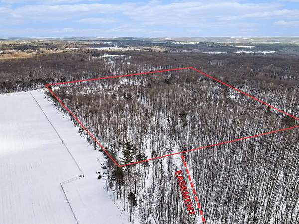 18.9 Acres of Recreational Land for Sale in Hesperia, Michigan