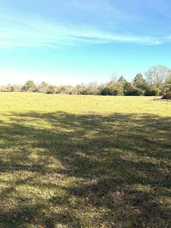 63 Acres of Land for Sale in Lexington, Texas