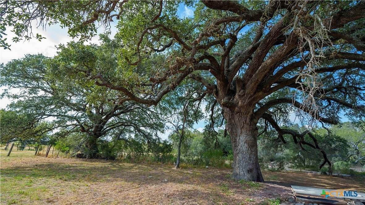 64.9 Acres of Land for Sale in Floresville, Texas