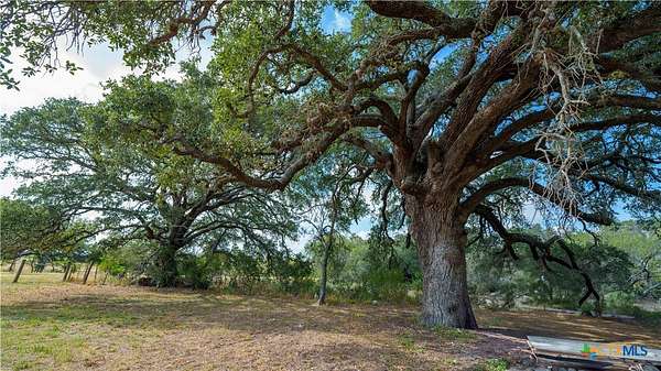 64.9 Acres of Land for Sale in Floresville, Texas