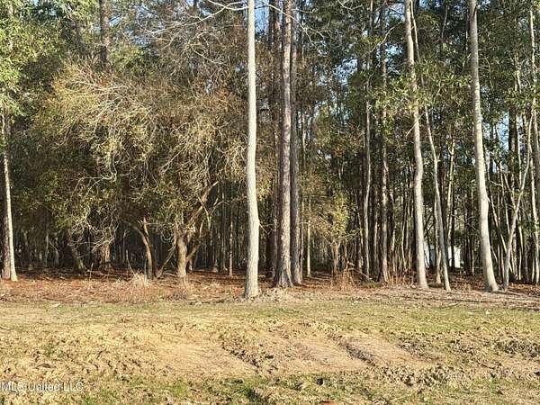 0.35 Acres of Residential Land for Sale in Diamondhead, Mississippi