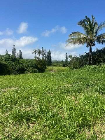 0.3 Acres of Land for Sale in Nāʻālehu, Hawaii