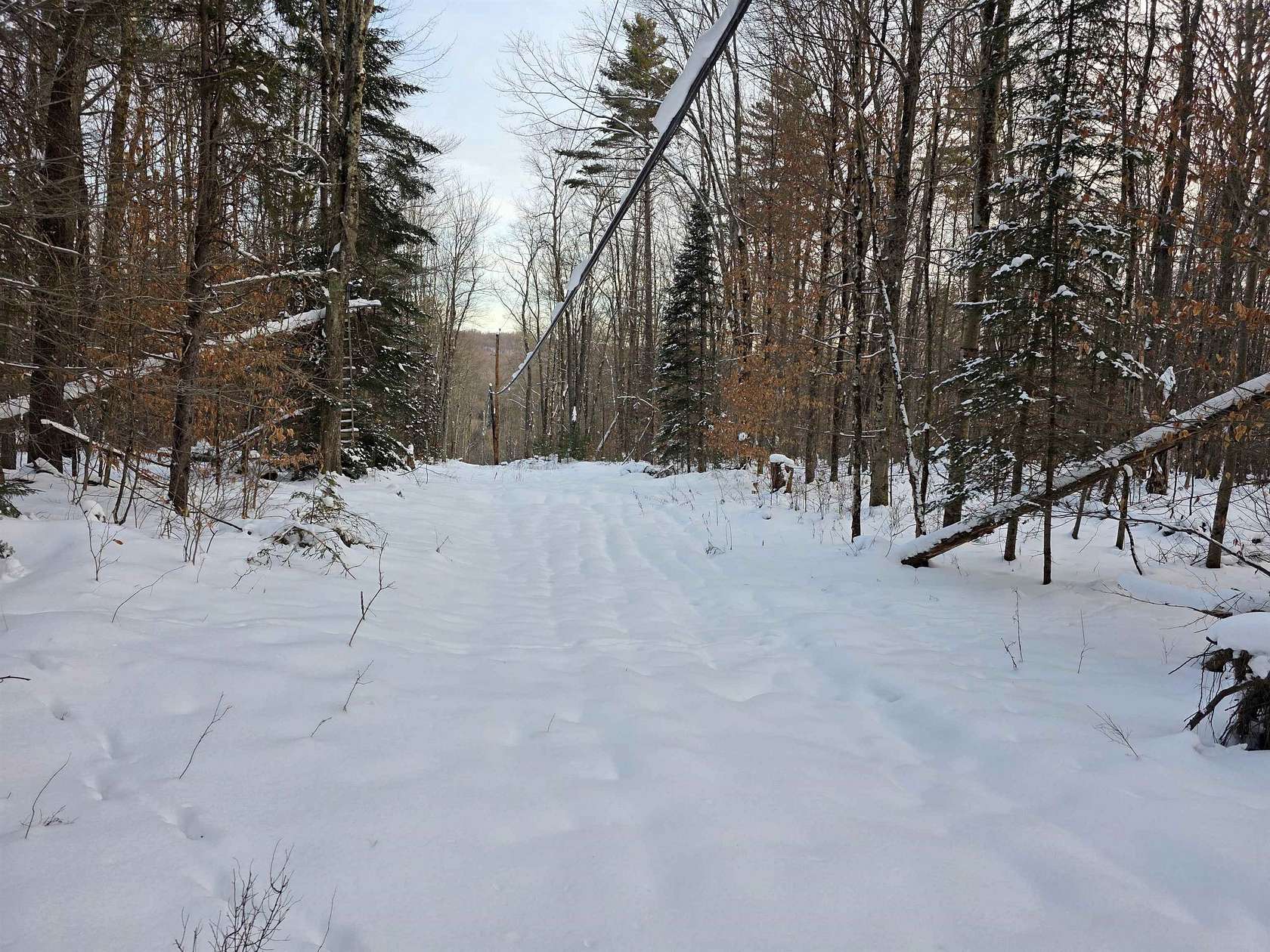 26.1 Acres of Recreational Land for Sale in Ripton, Vermont