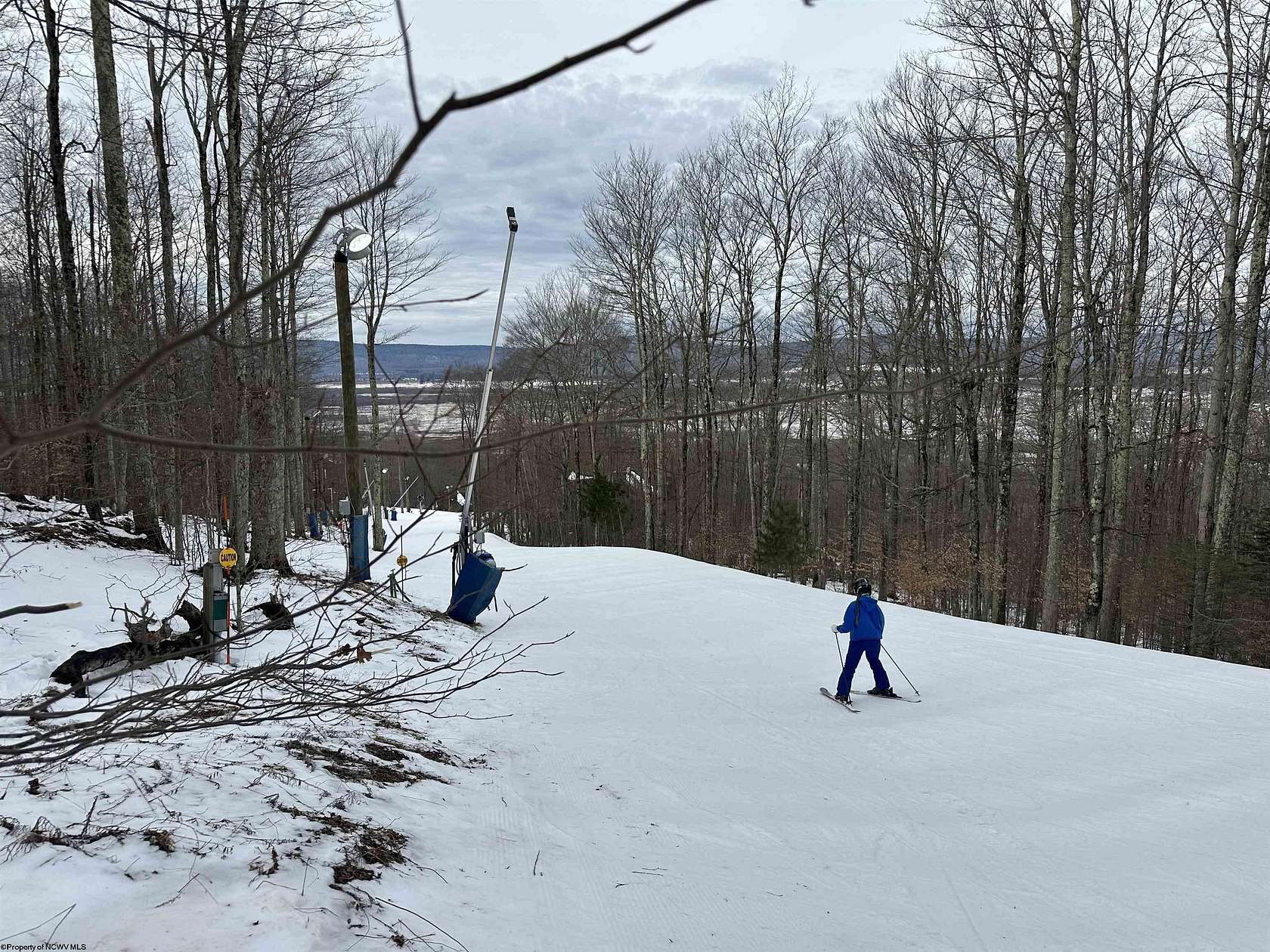 0.33 Acres of Residential Land for Sale in Davis, West Virginia