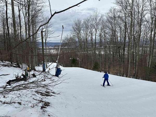 0.33 Acres of Residential Land for Sale in Davis, West Virginia