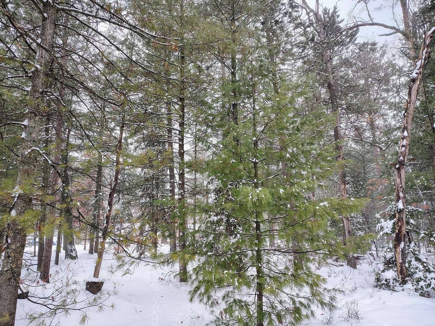 0.35 Acres of Residential Land for Sale in Prudenville, Michigan