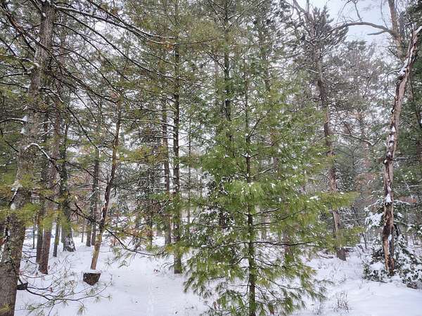 0.35 Acres of Residential Land for Sale in Prudenville, Michigan