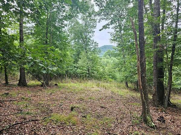 10.4 Acres of Recreational Land for Sale in Fries, Virginia