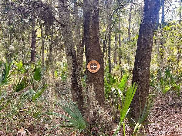 0.74 Acres of Residential Land for Sale in Daufuskie Island, South Carolina