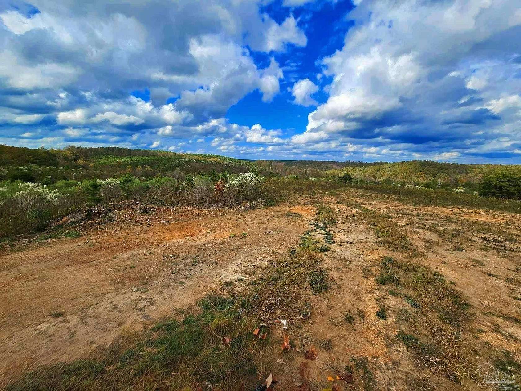 61.8 Acres of Recreational Land for Sale in Waterloo, Alabama