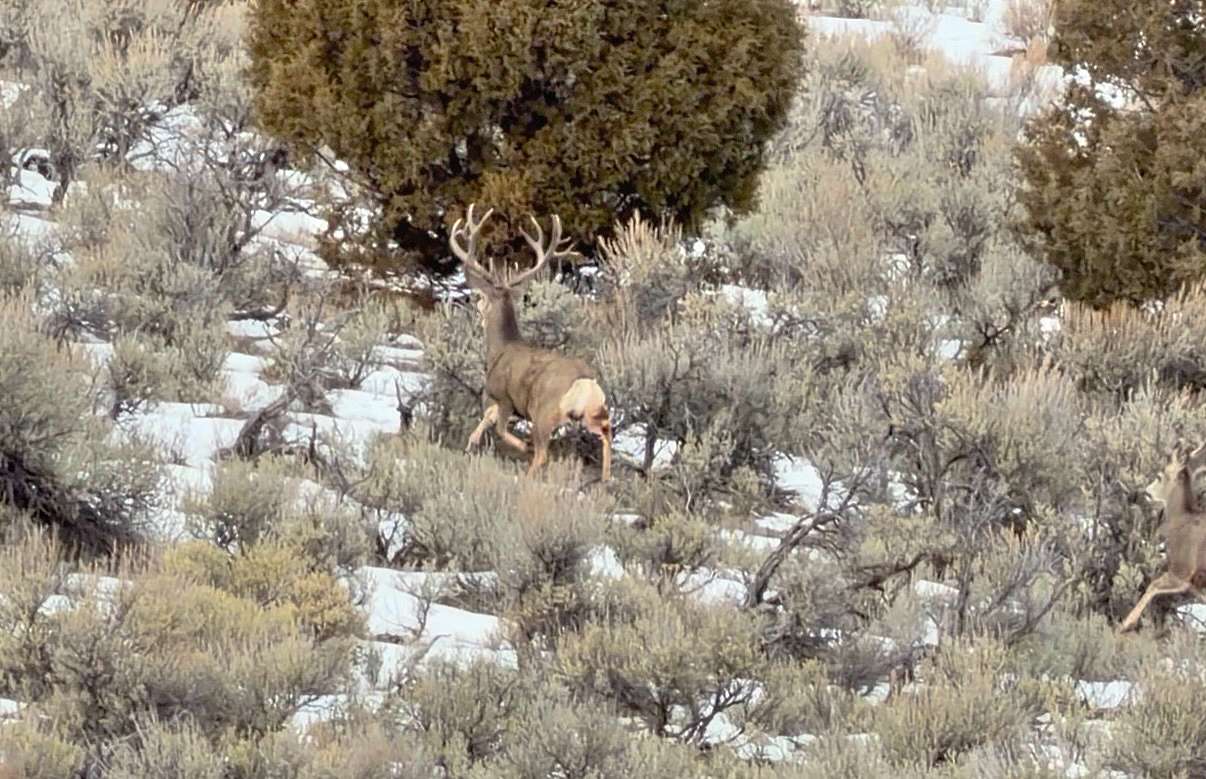 160 Acres of Recreational Land for Sale in Rifle, Colorado