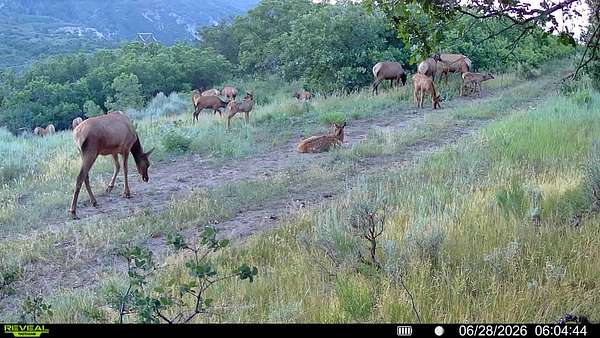 160 Acres of Recreational Land for Sale in Rifle, Colorado