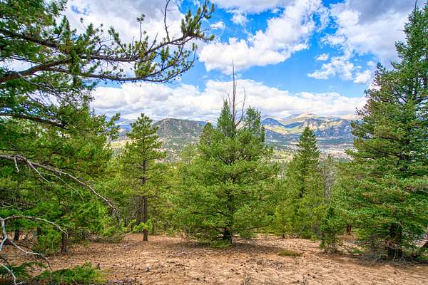 45 Acres of Recreational Land for Sale in Estes Park, Colorado