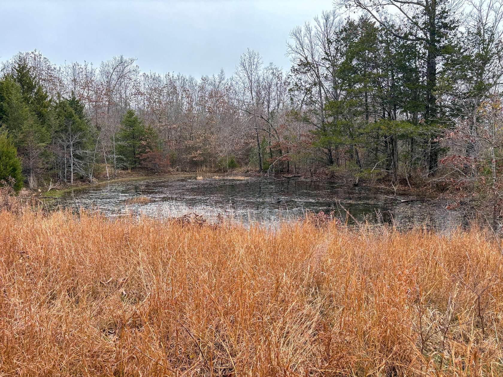 34.9 Acres of Recreational Land for Sale in Tecumseh, Missouri