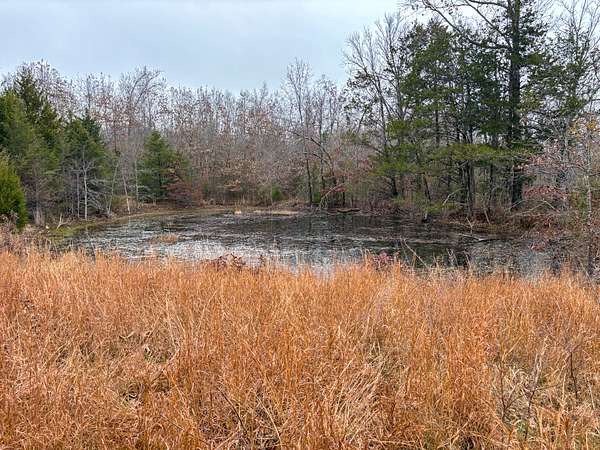 34.9 Acres of Recreational Land for Sale in Tecumseh, Missouri