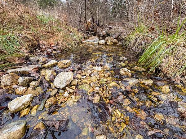 25.3 Acres of Recreational Land for Sale in Tecumseh, Missouri