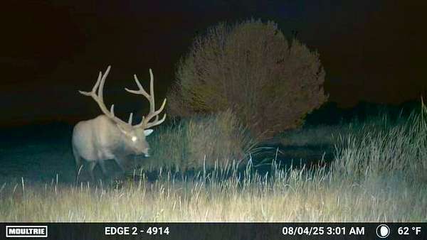 8,836 Acres of Recreational Land for Sale in Branson, Colorado