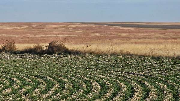 558 Acres of Recreational Land & Farm for Sale in Wallace, Kansas