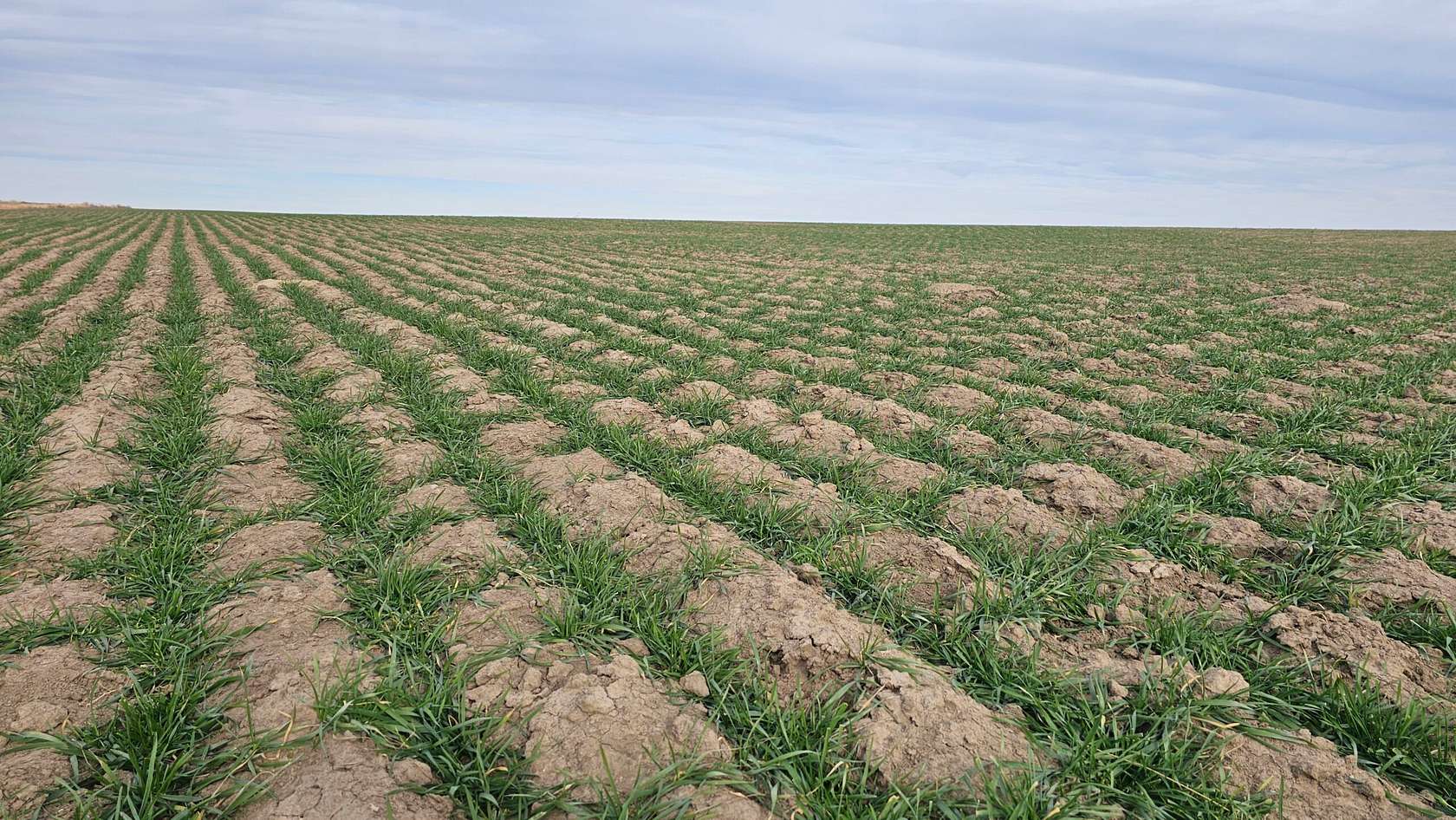 154 Acres of Recreational Land & Farm for Sale in Wallace, Kansas