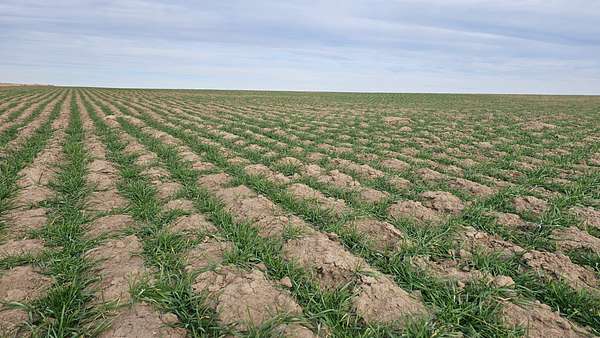 154 Acres of Recreational Land & Farm for Sale in Wallace, Kansas