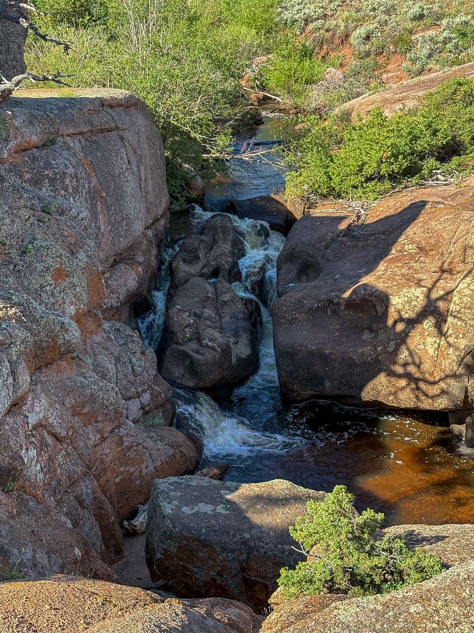 40 Acres of Recreational Land for Sale in Red Feather Lakes, Colorado