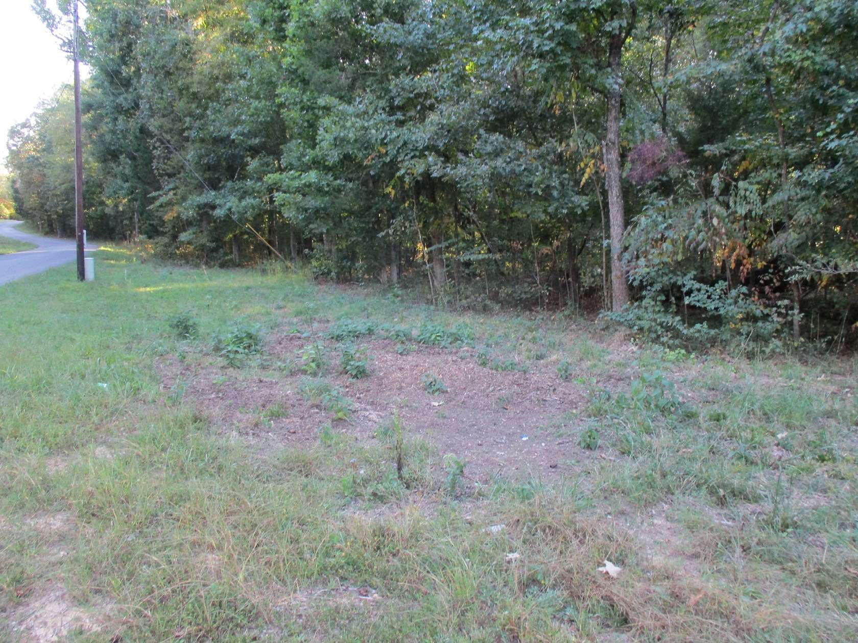 2.28 Acres of Residential Land for Sale in Waverly, Tennessee