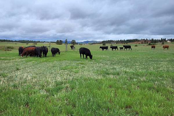 402 Acres of Land with Home for Sale in Edgemont, South Dakota