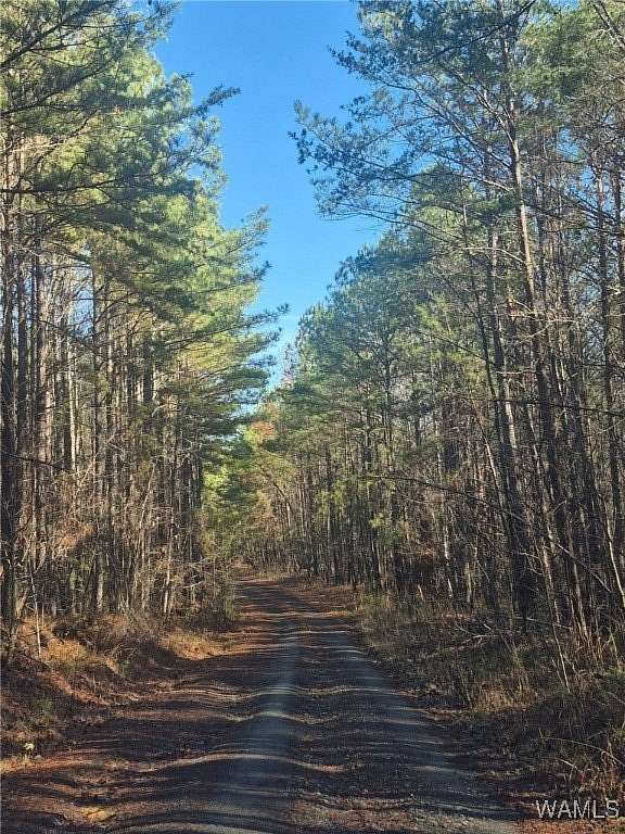 33.4 Acres of Recreational Land for Sale in Brookwood, Alabama